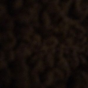 Meet your Posher, Colton